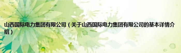 山西国际电力集团有限公司(关于山西国际电力集团有限公司的基本详情介绍)