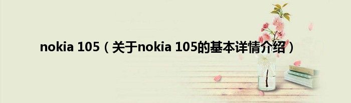 nokia 105（关于nokia 105的基本详情介绍）