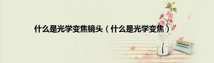 什么是光学变焦镜头（什么是光学变焦）