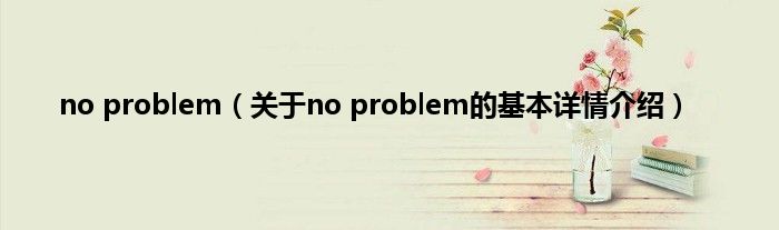 no problem（关于no problem的基本详情介绍）