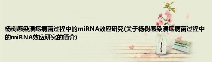 杨树感染溃疡病菌过程中的miRNA效应研究(关于杨树感染溃疡病菌过程中的miRNA效应研究的简介)