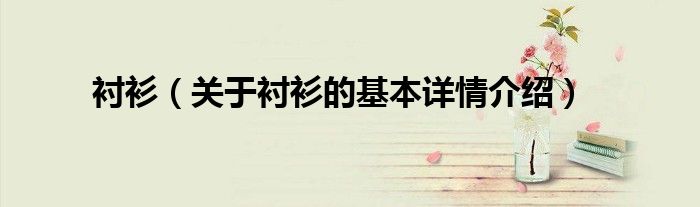 衬衫（关于衬衫的基本详情介绍）
