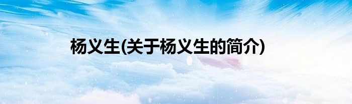 杨义生(关于杨义生的简介)