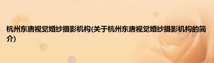 杭州东唐视觉婚纱摄影机构(关于杭州东唐视觉婚纱摄影机构的简介)