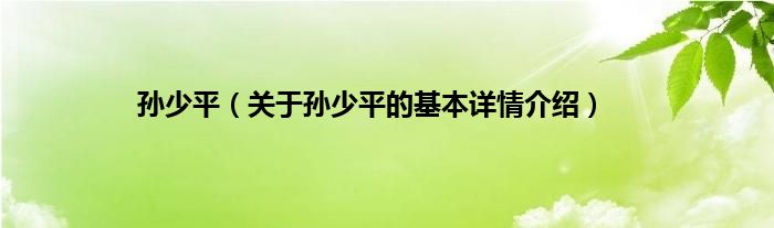 孙少平（关于孙少平的基本详情介绍）