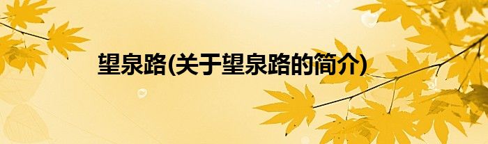 望泉路(关于望泉路的简介)