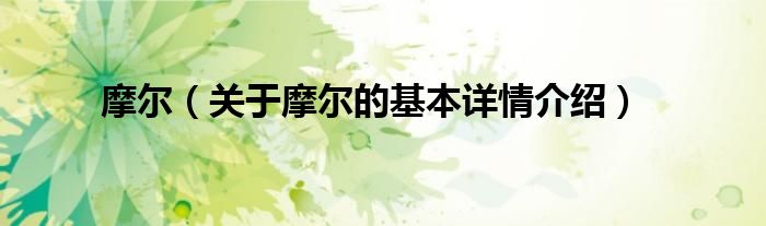摩尔（关于摩尔的基本详情介绍）