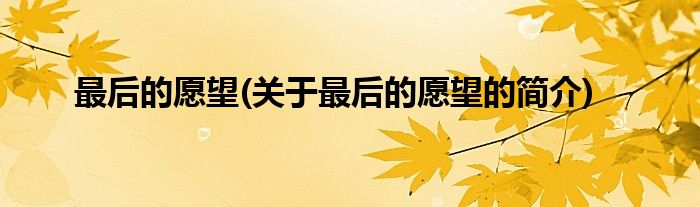 最后的愿望(关于最后的愿望的简介)