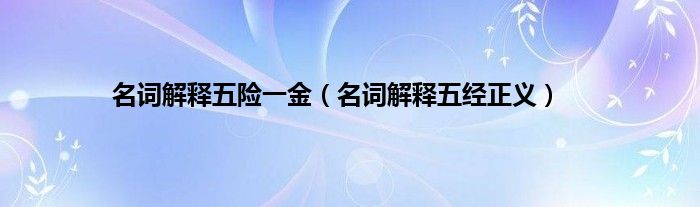 名词解释五险一金（名词解释五经正义）