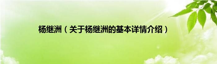 杨继洲（关于杨继洲的基本详情介绍）