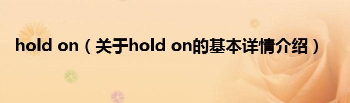hold on（关于hold on的基本详情介绍）
