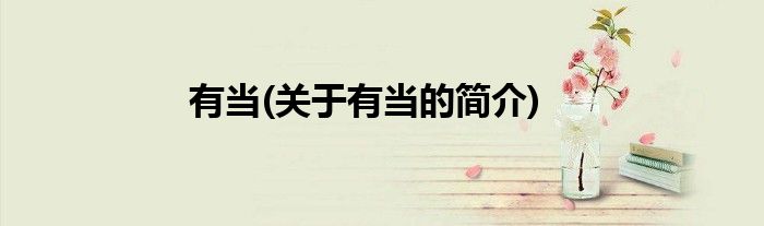 有当(关于有当的简介)