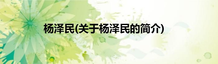 杨泽民(关于杨泽民的简介)