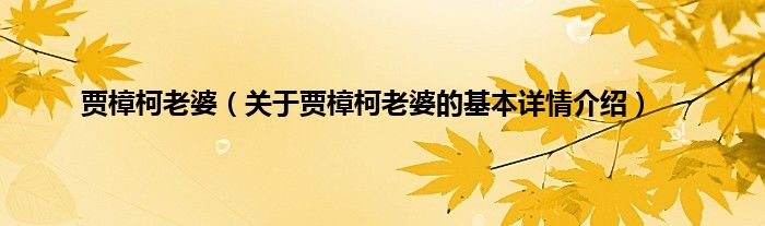 贾樟柯老婆（关于贾樟柯老婆的基本详情介绍）