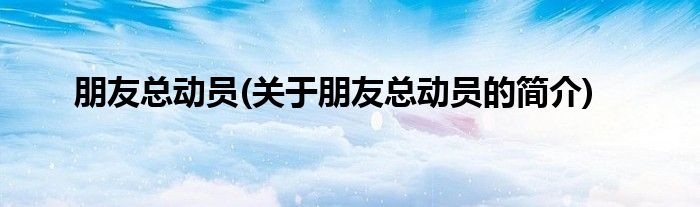 朋友总动员(关于朋友总动员的简介)
