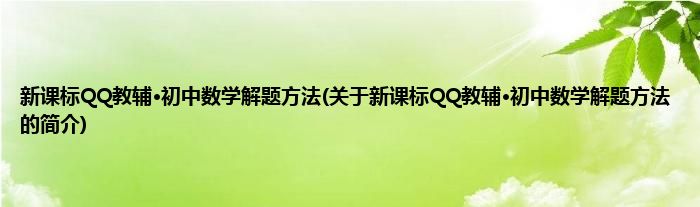 新课标QQ教辅·初中数学解题方法(关于新课标QQ教辅·初中数学解题方法的简介)