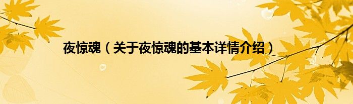 夜惊魂（关于夜惊魂的基本详情介绍）