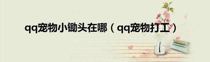 qq宠物小锄头在哪(qq宠物打工)