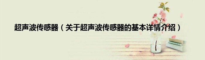 超声波传感器（关于超声波传感器的基本详情介绍）