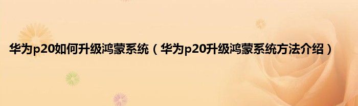 华为p20如何升级鸿蒙系统（华为p20升级鸿蒙系统方法介绍）