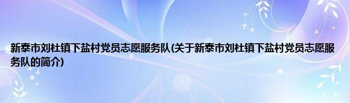 新泰市刘杜镇下盐村党员志愿服务队(关于新泰市刘杜镇下盐村党员志愿服务队的简介)