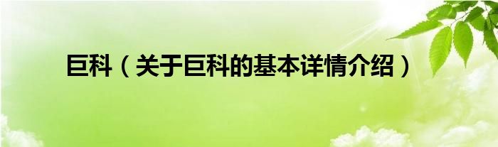 巨科（关于巨科的基本详情介绍）