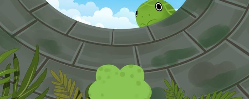 井底之蛙的起因经过结果是什么