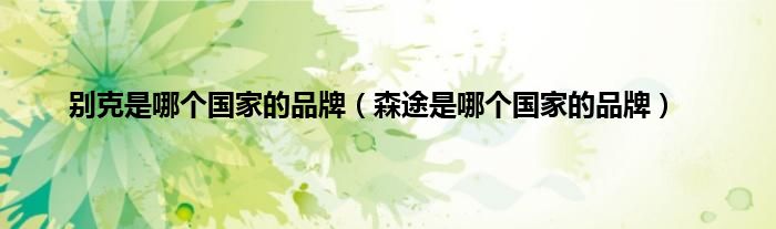 别克是哪个国家的品牌（森途是哪个国家的品牌）