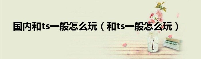 国内和ts一般怎么玩（和ts一般怎么玩）