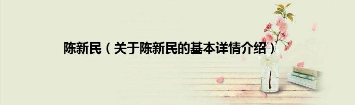 陈新民(关于陈新民的基本详情介绍)