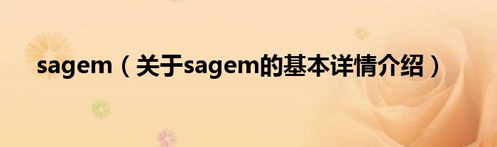 sagem（关于sagem的基本详情介绍）