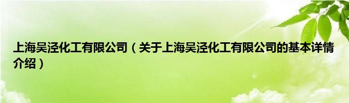 上海吴泾化工有限公司（关于上海吴泾化工有限公司的基本详情介绍）