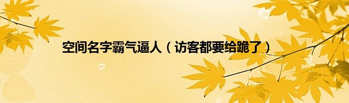 空间名字霸气逼人(访客都要给跪了)