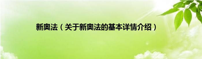 新奥法（关于新奥法的基本详情介绍）