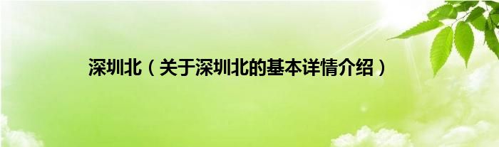 深圳北（关于深圳北的基本详情介绍）