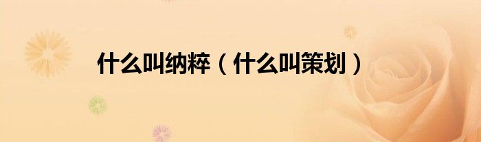 什么叫纳粹（什么叫策划）