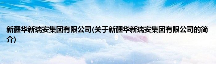 新疆华新瑞安集团有限公司(关于新疆华新瑞安集团有限公司的简介)