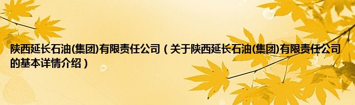 陕西延长石油(集团)有限责任公司（关于陕西延长石油(集团)有限责任公司的基本详情介绍）
