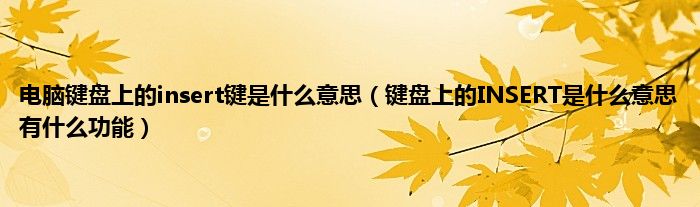 电脑键盘上的insert键是什么意思（键盘上的INSERT是什么意思有什么功能）