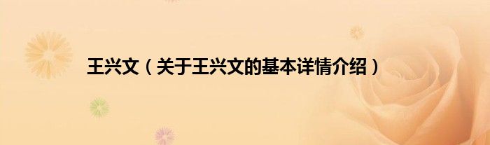 王兴文（关于王兴文的基本详情介绍）