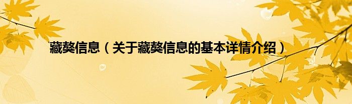 藏獒信息（关于藏獒信息的基本详情介绍）