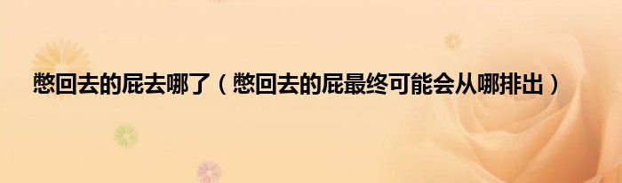 憋回去的屁去哪了（憋回去的屁最终可能会从哪排出）