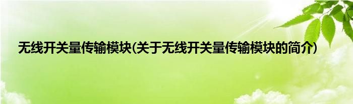 无线开关量传输模块(关于无线开关量传输模块的简介)