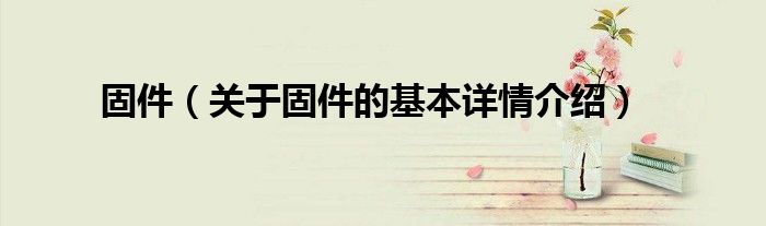 固件（关于固件的基本详情介绍）