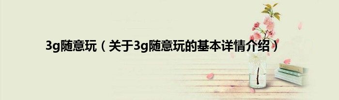 3g随意玩（关于3g随意玩的基本详情介绍）