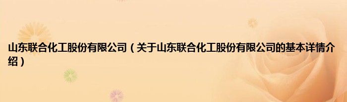 山东联合化工股份有限公司（关于山东联合化工股份有限公司的基本详情介绍）