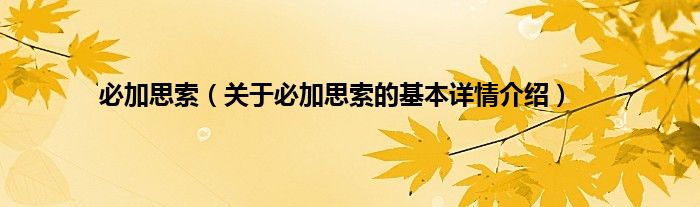 必加思索（关于必加思索的基本详情介绍）