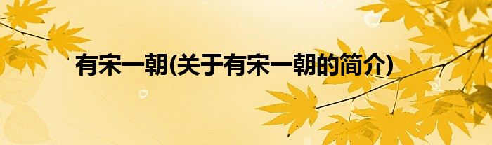 有宋一朝(关于有宋一朝的简介)