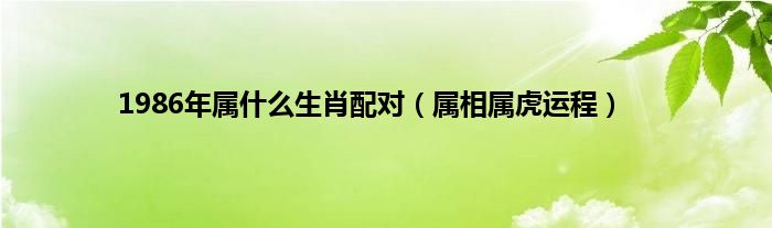 1986年属什么生肖配对（属相属虎运程）