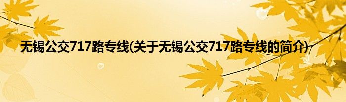 无锡公交717路专线(关于无锡公交717路专线的简介)